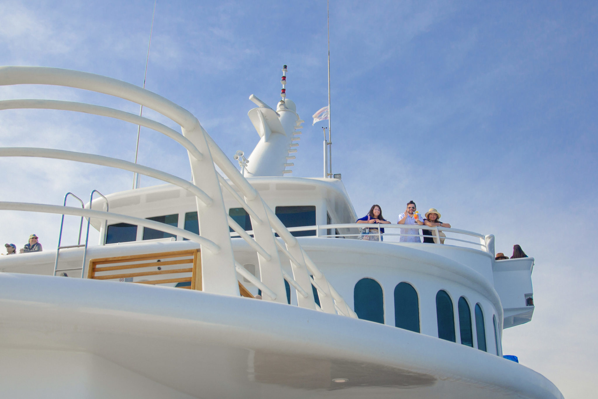 Whale Watching - Image 4